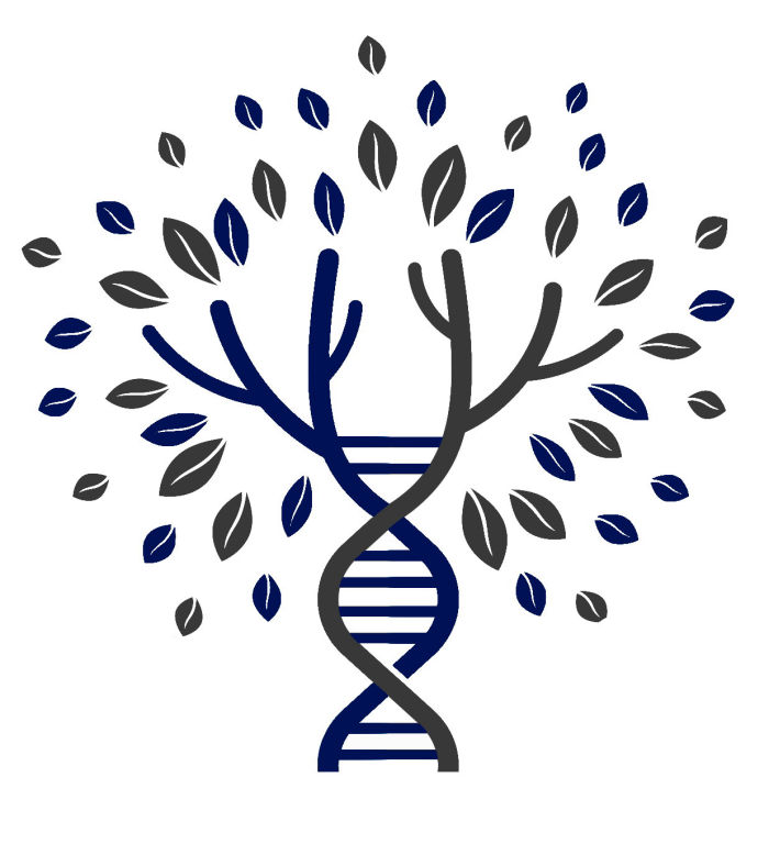 Tree Doctor Tree Surgeons